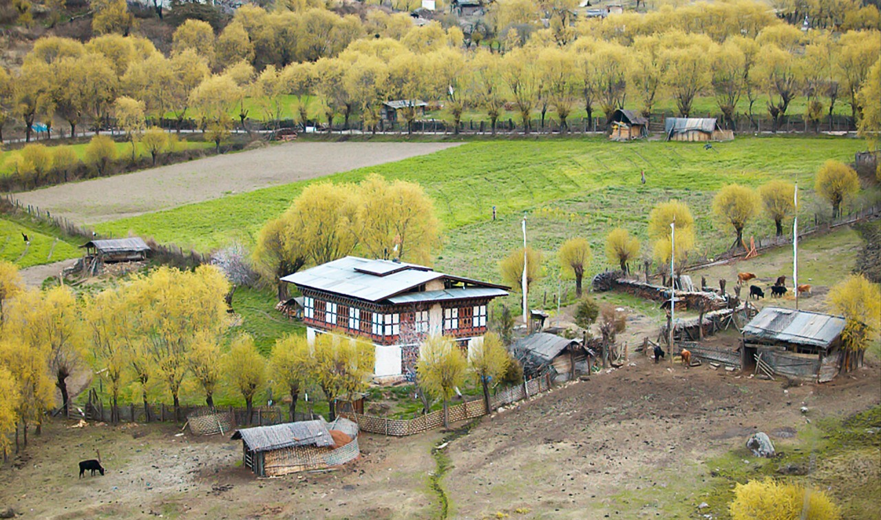 BHUTAN HOMESTAY EXPERIENCE 
